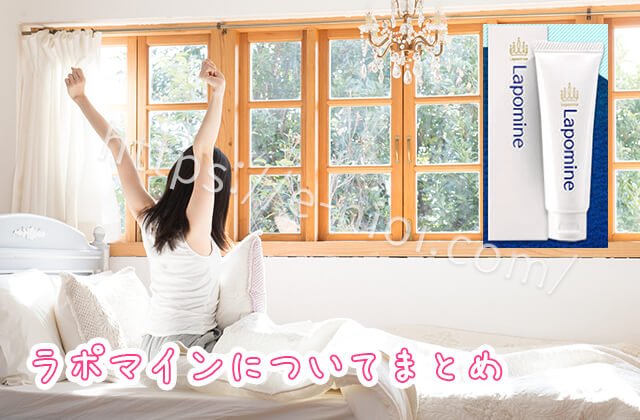 ラポマインまとめ