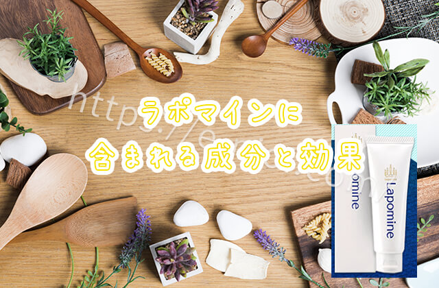 ラポマイン成分効果