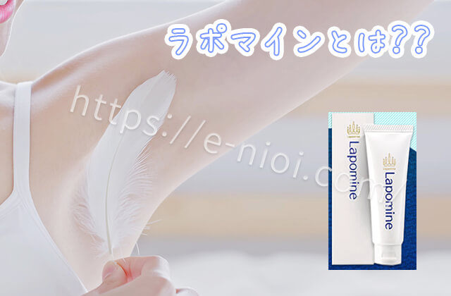 ラポマインとは