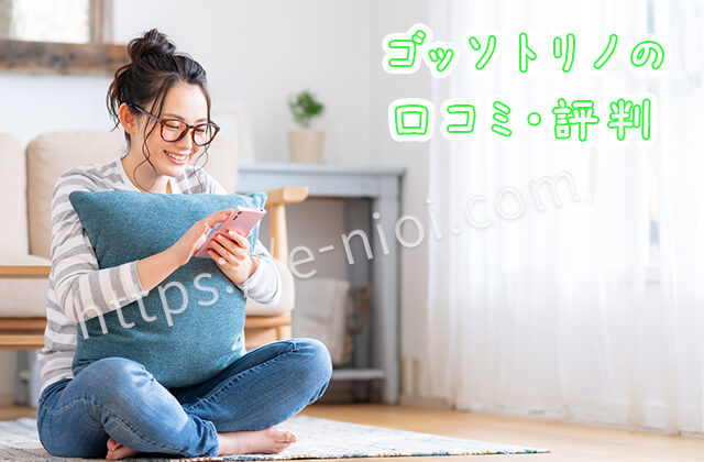 ゴッソトリノ口コミ評価評判