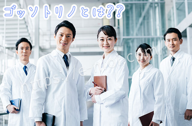 ゴッソトリノとは