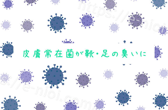 靴足臭い皮膚常在菌雑菌原因